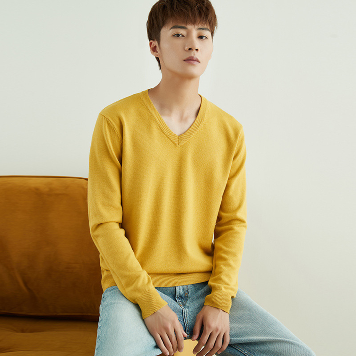 Ronald | Men's Classic V-Neck Jumper