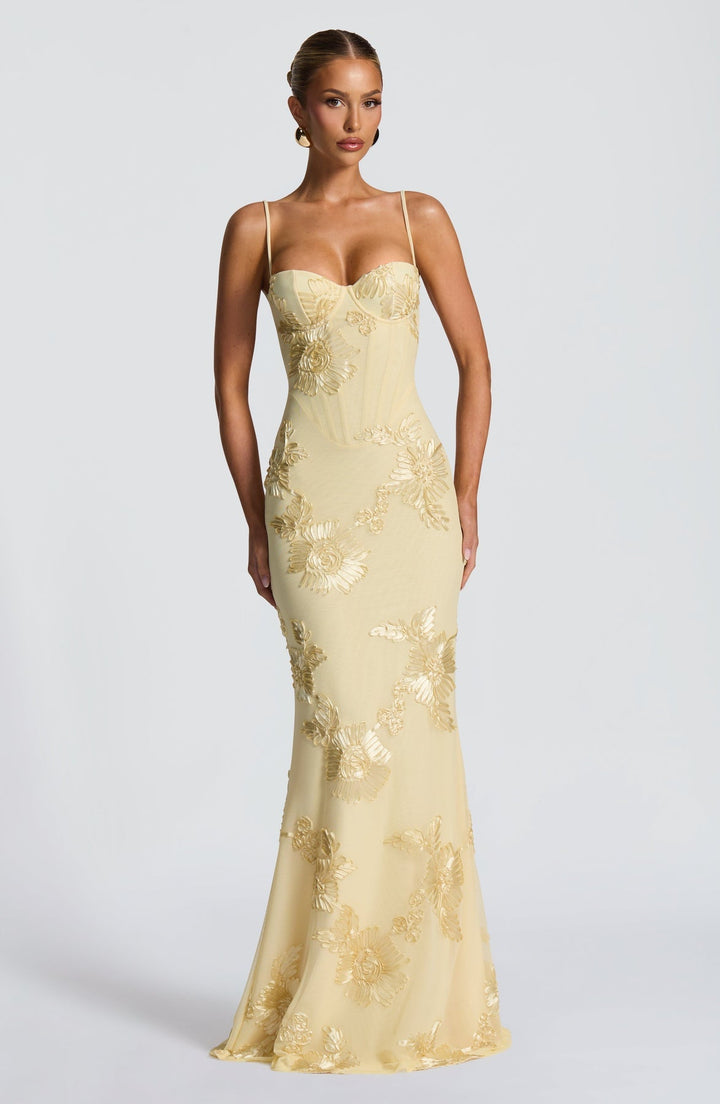 Women's Floral Appliqué Corset Maxi Dress